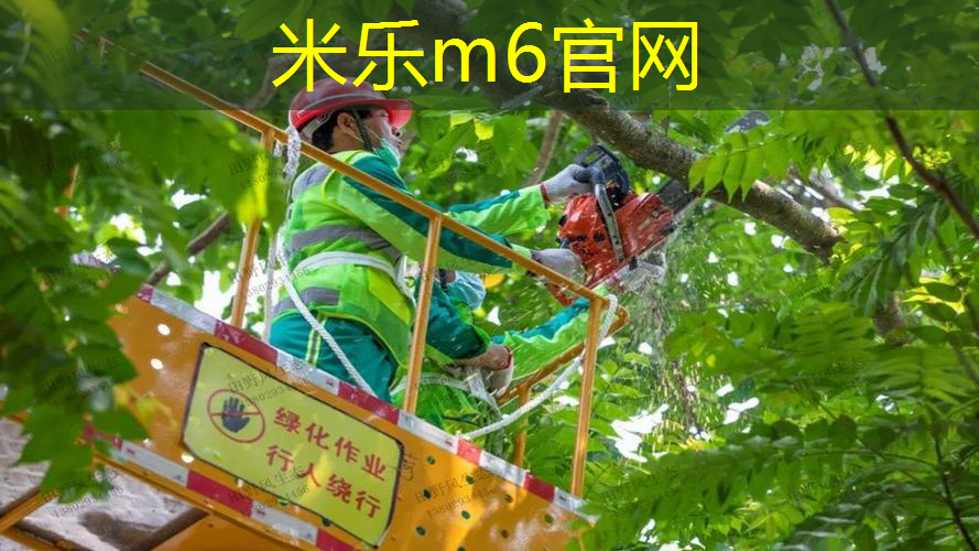 米乐m6官网：移动方便的乒乓球台怎么用