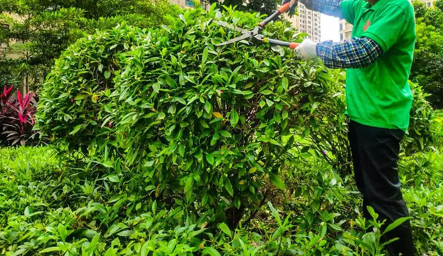 高科技塑胶跑道材料，满足世界级运动赛事标准