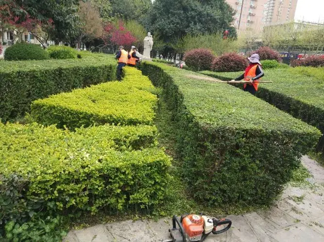 米乐：什么是成品乒乓球台子材质