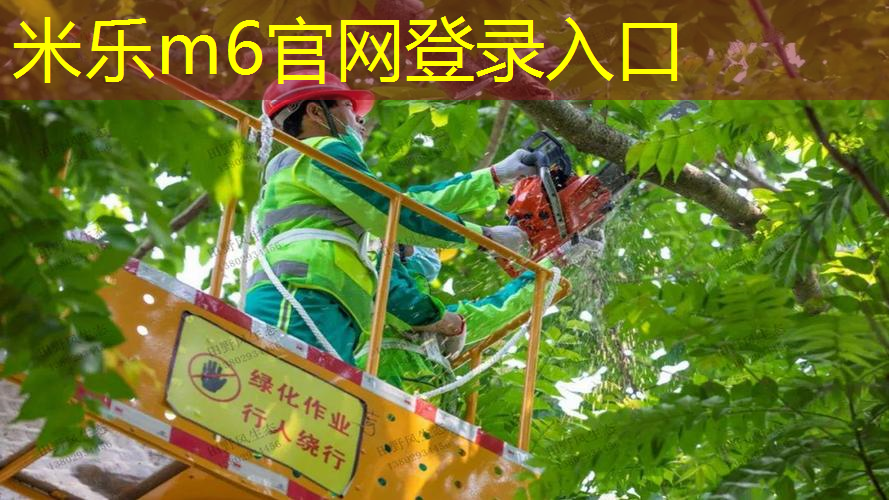 探索未知领域：塑胶跑道材料技术的新高度