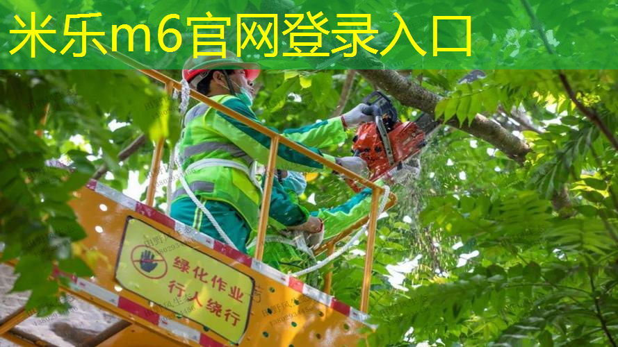 移动方便的乒乓球台怎么用