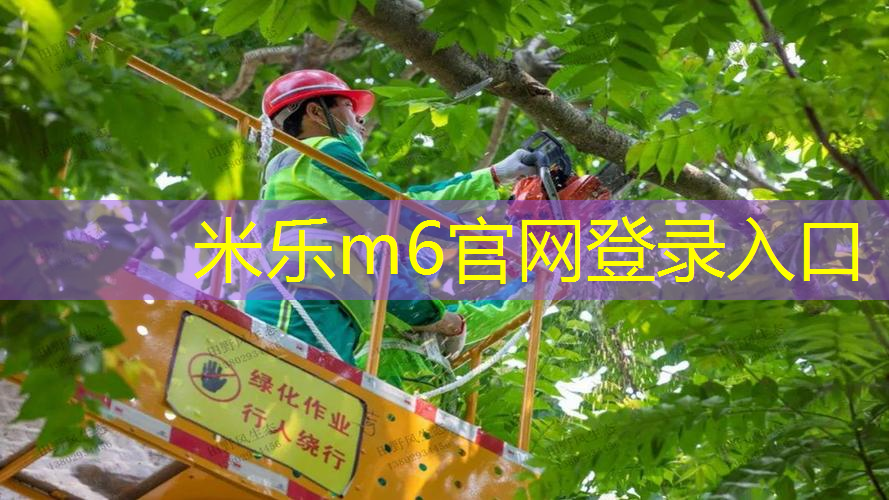 确保运动质量的重要因素！详解体育塑胶跑道材料的特点
