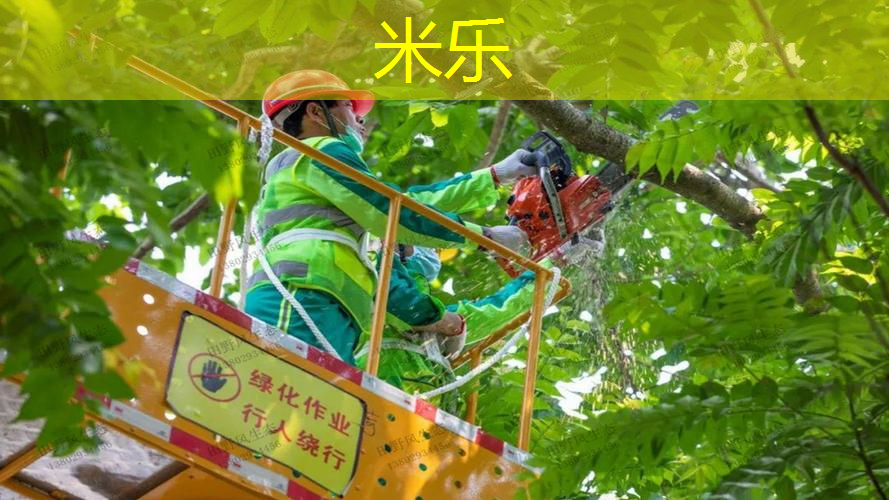 探索未知领域：塑胶跑道材料技术的新高度